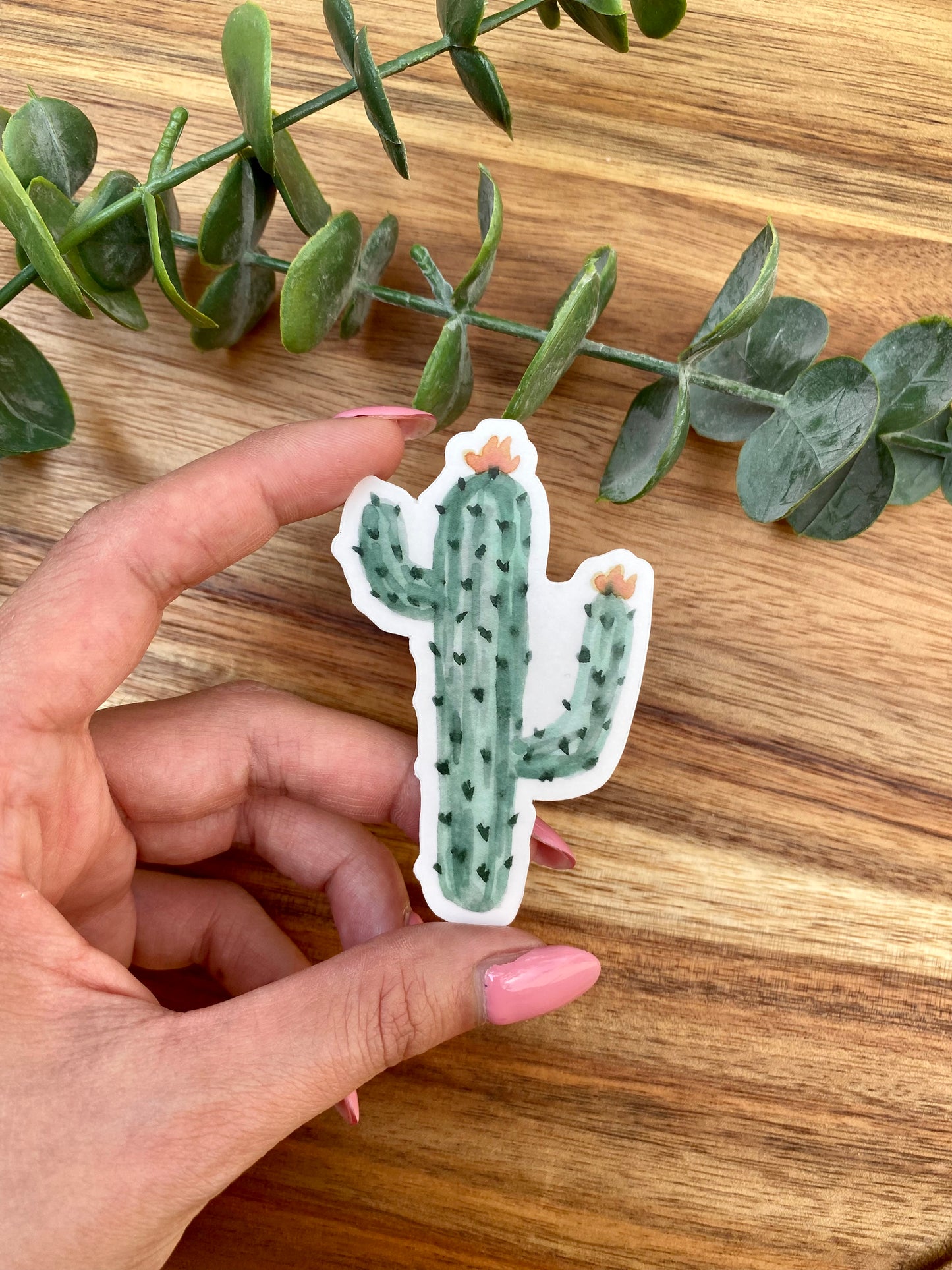 CLEAR Cactus Sticker